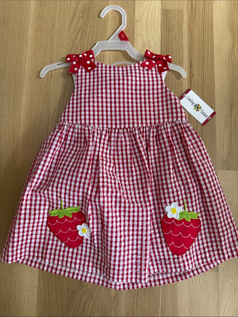 Girls Red Gingham Strawberry Dress with Bow -